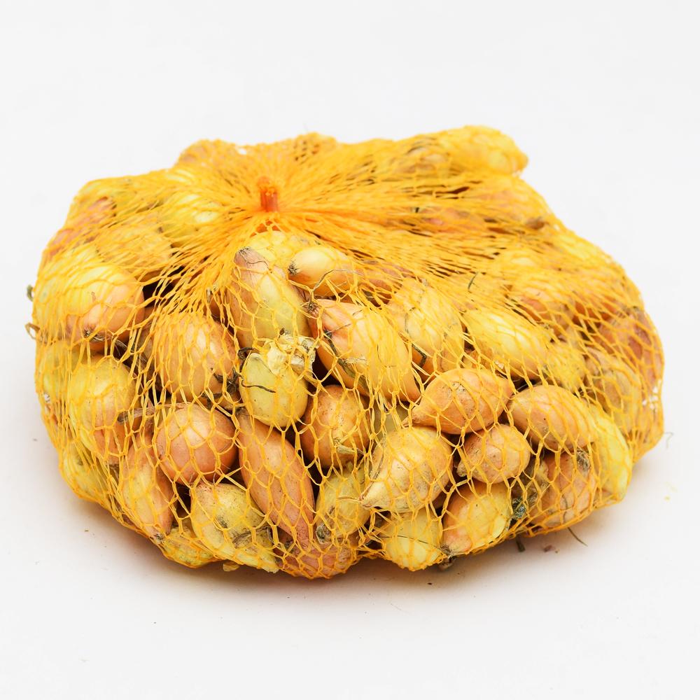 Cibuľa sadzačka - SENS. YELLOW 500g