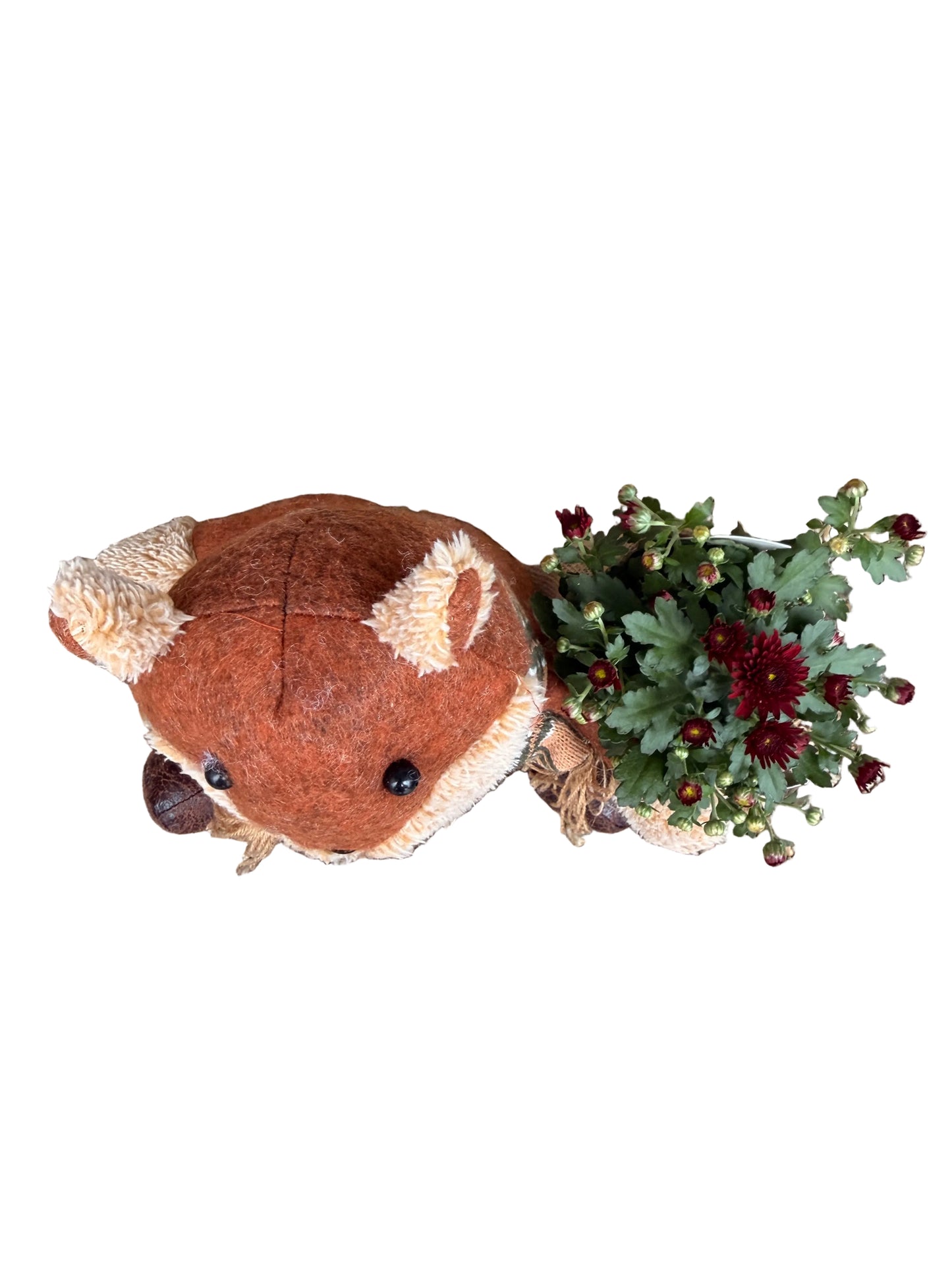 Jesenný aranžmán - Veverička s chryzantémou