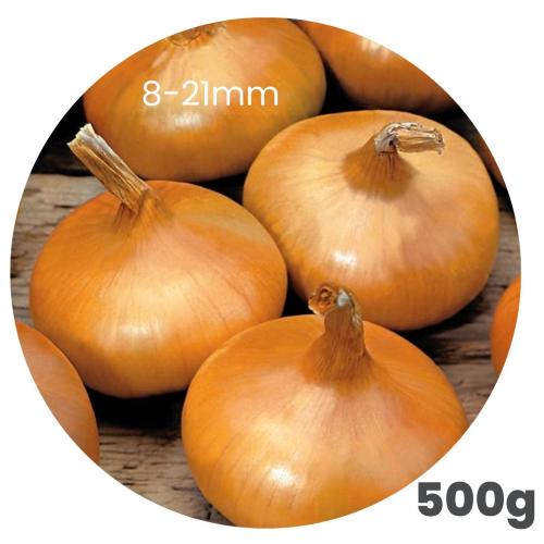 Donáška kvetov - Cibuľa sadzačka - Štutgartská 500g - slovenske-kvety.sk