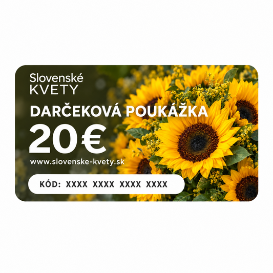 Darčeková poukážka 20€