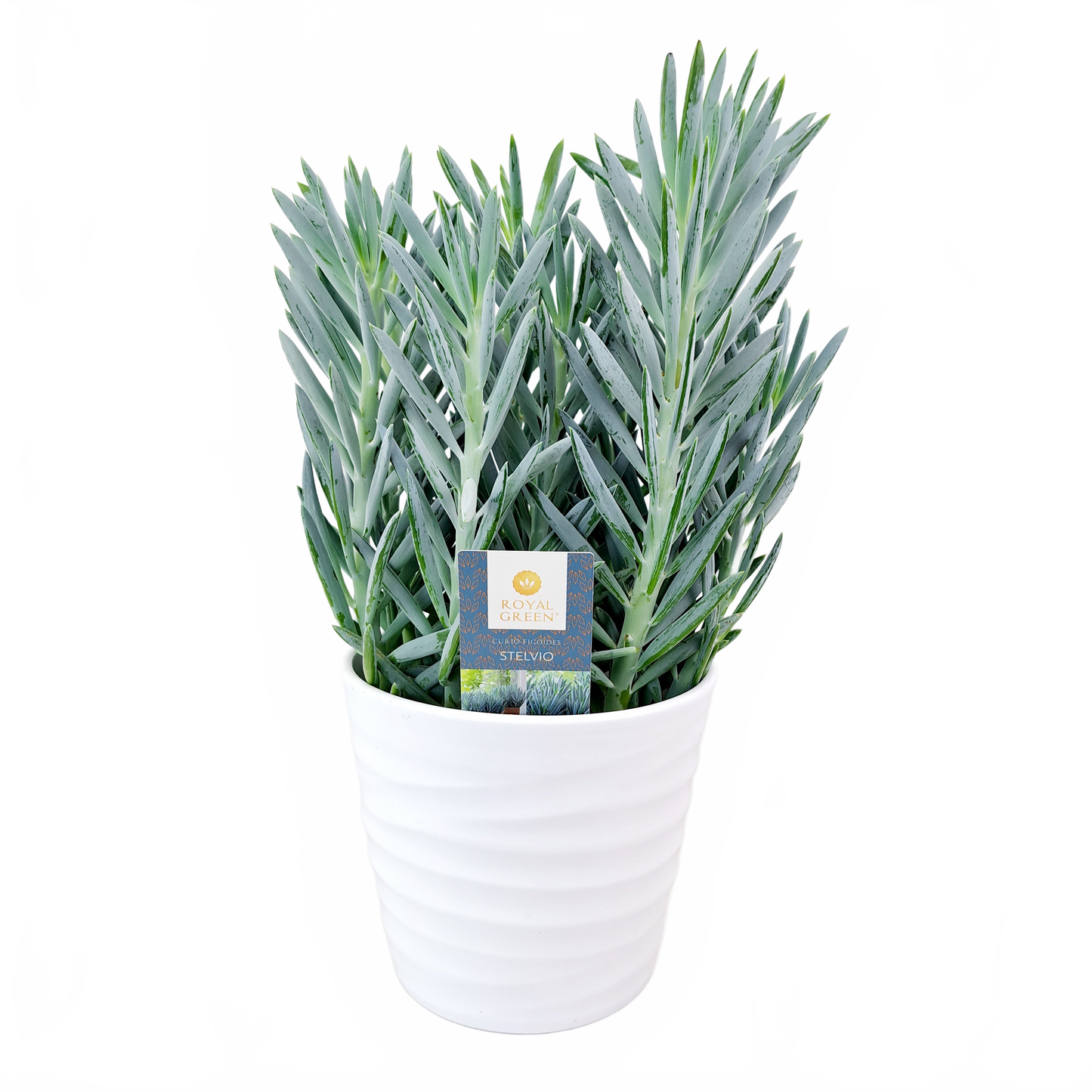 Updated product image
