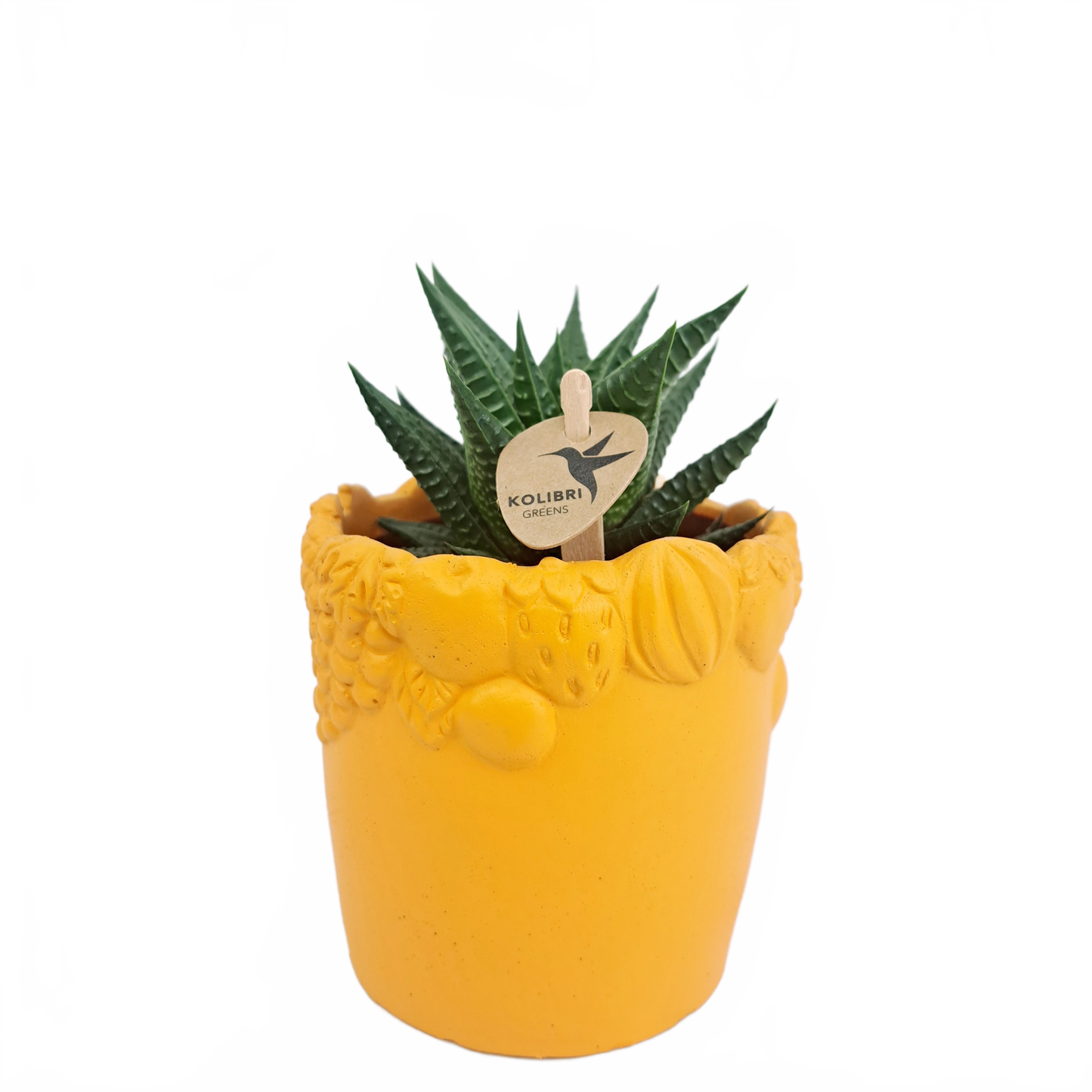 Updated product image