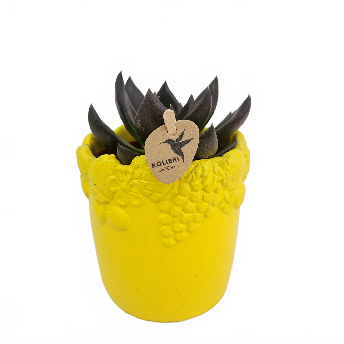 Updated product image
