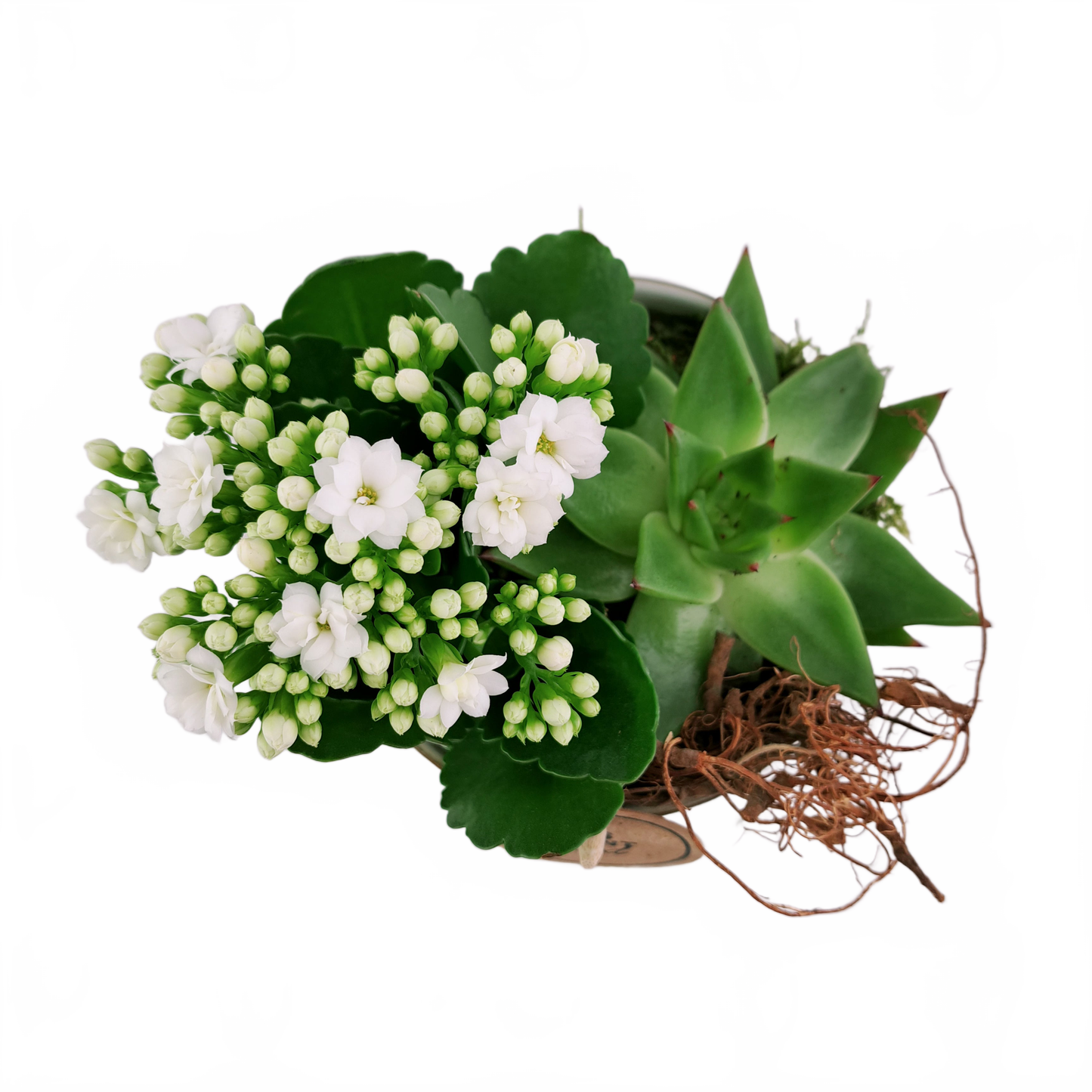 Updated product image
