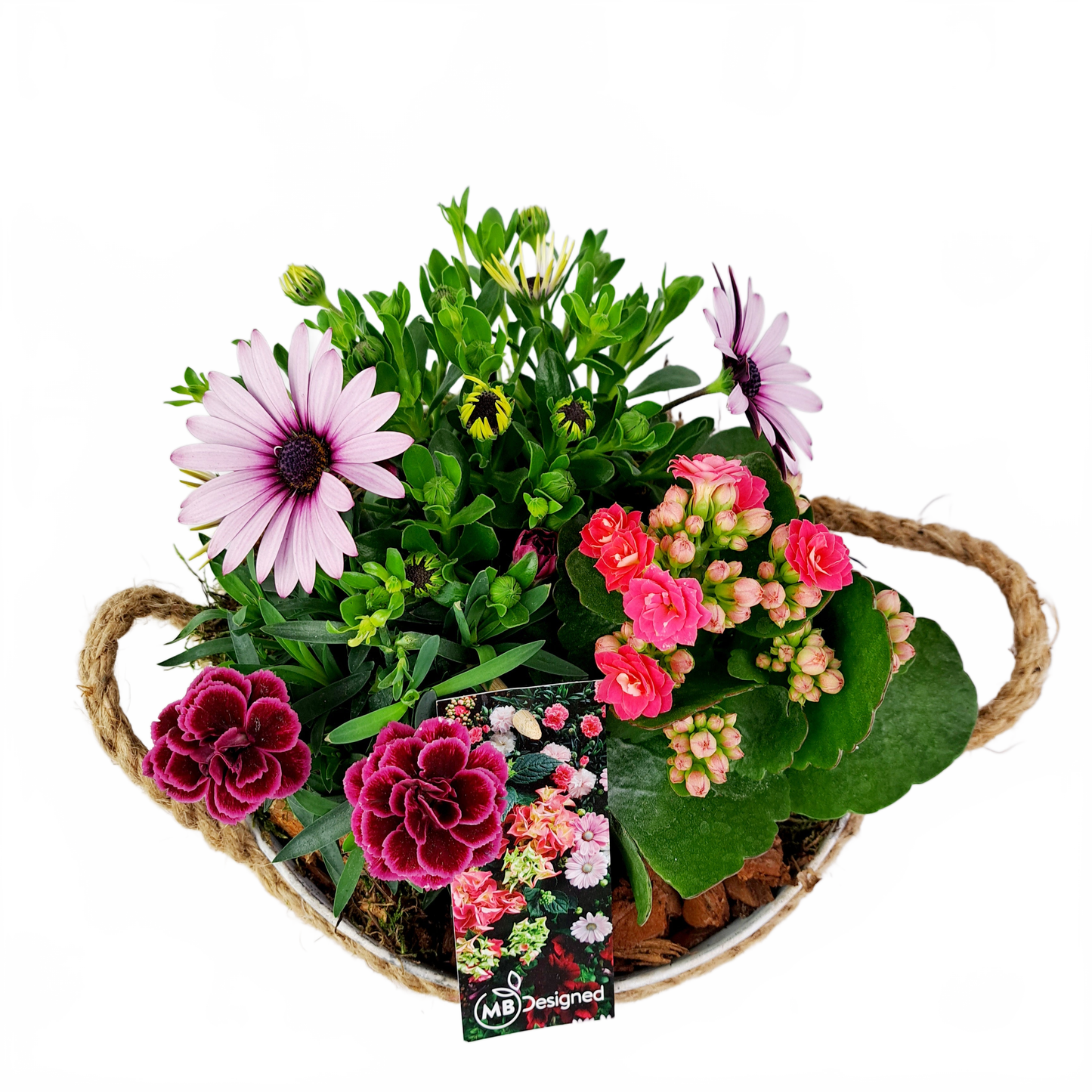 Updated product image