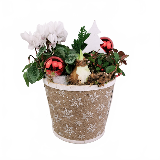 this is a product image