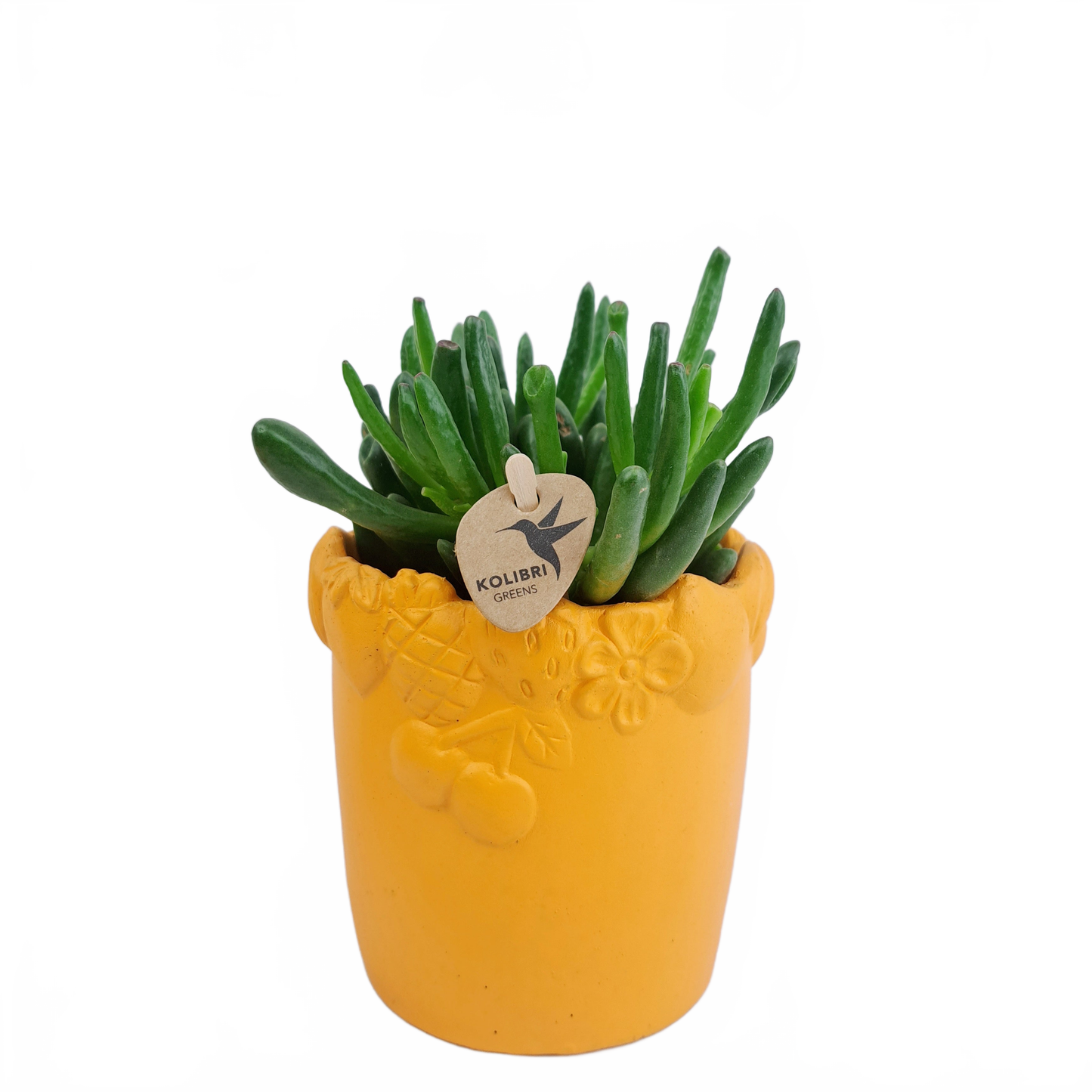 Updated product image