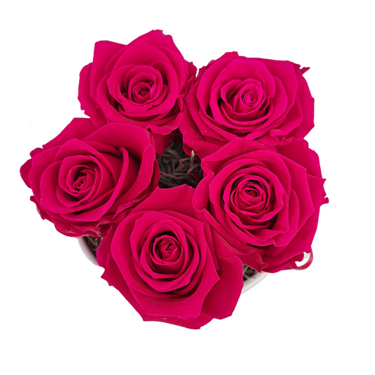 Flowerbox 5 stabilizovaných ruží - ETERNAL Flowers - Magenta