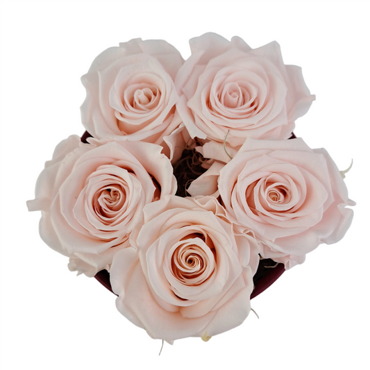 Flowerbox 5 stabilizovaných ruží - ETERNAL Flowers - Marhuľová v slivkovom boxe