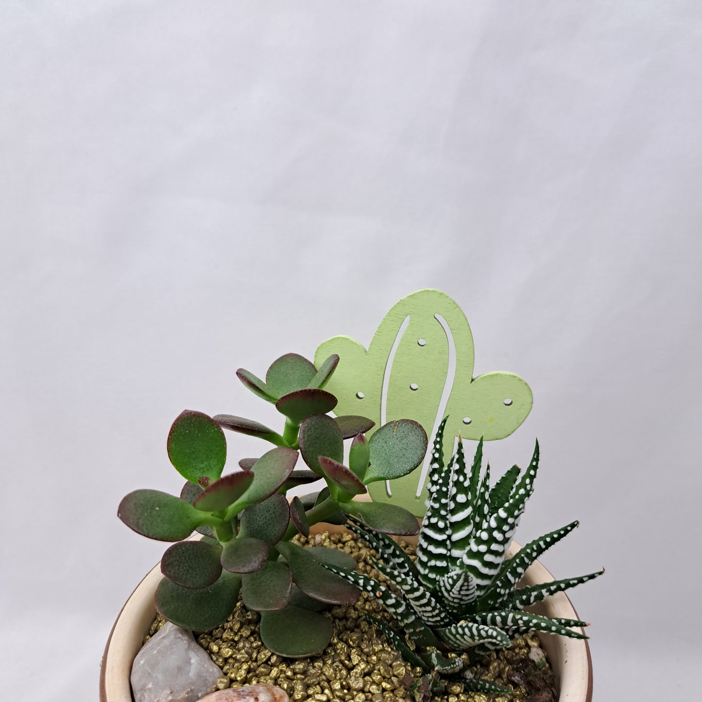 Aranžmán v keramike s aloe vera a krasulou