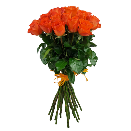 Donáška kvetov - Novinka 25 oranžových ruží Miss Lisa 55cm - slovenske-kvety.sk