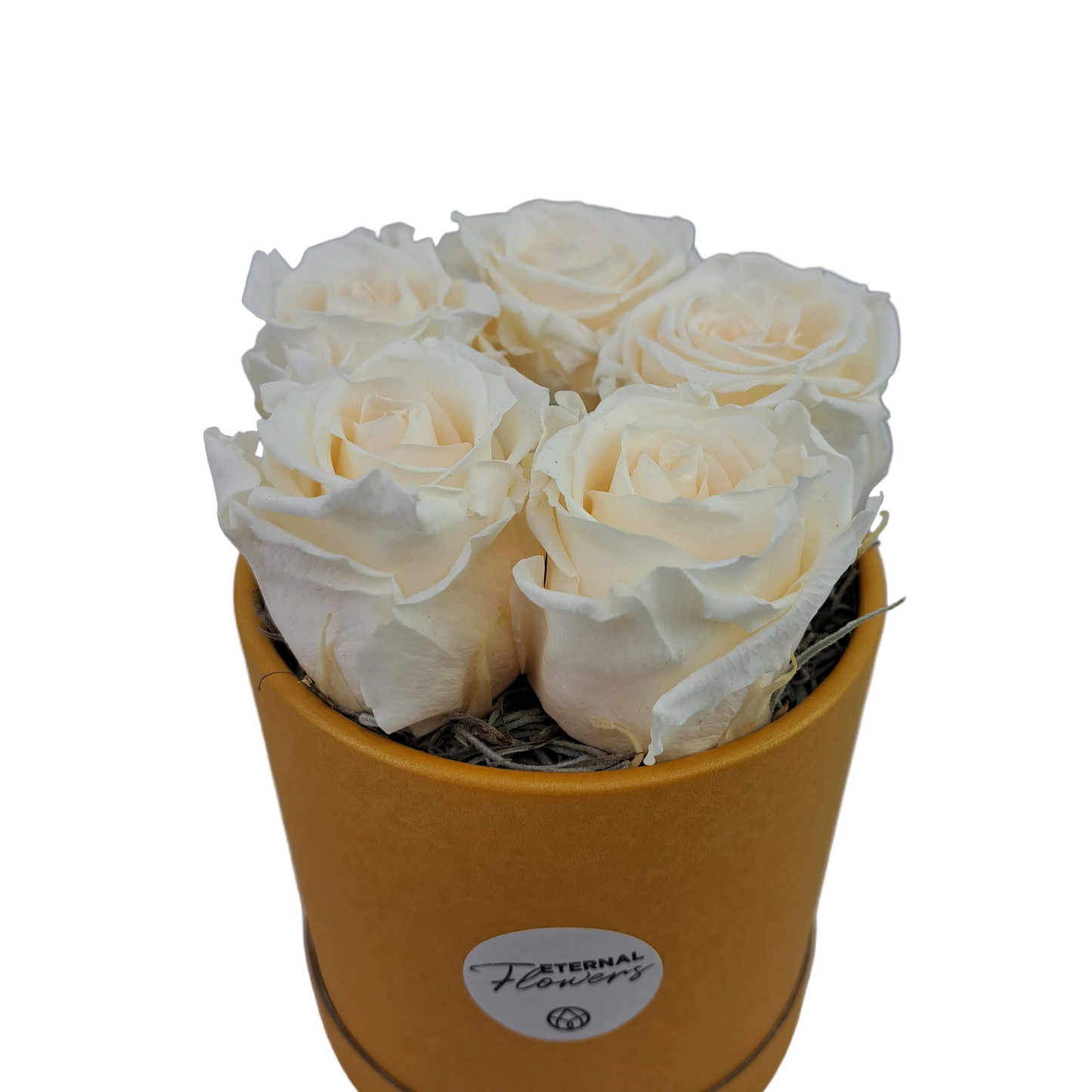 Flowerbox 5 stabilizovaných ruží - ETERNAL Flowers - Maslová