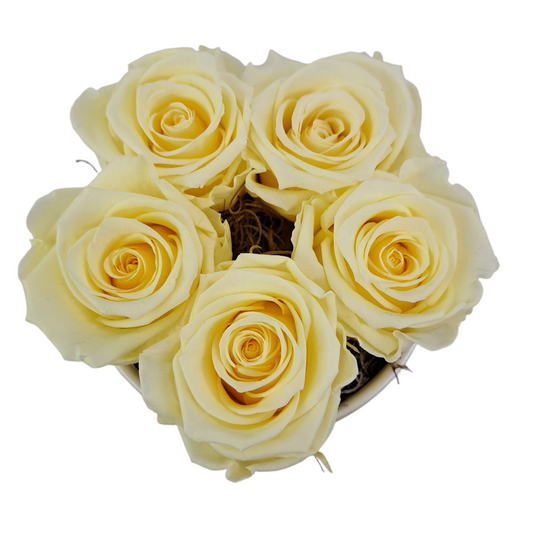 Flowerbox 5 stabilizovaných ruží - ETERNAL Flowers - Maslová