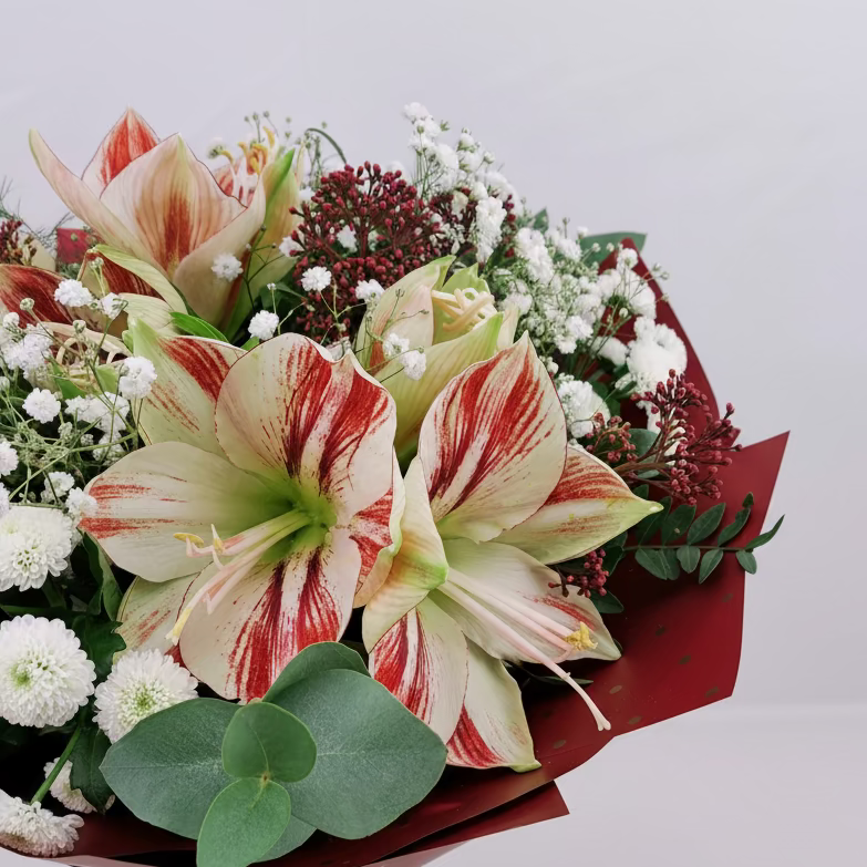 Novinka Farebný amaryllis s eukalyptom