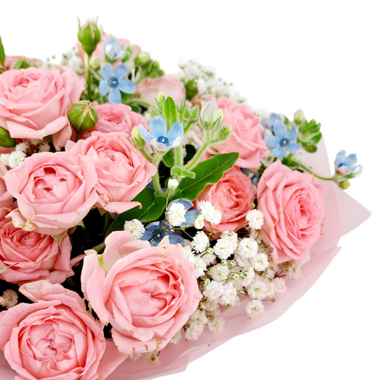 Novinka !Pink Princess - Trsové ruže s oxypetalom