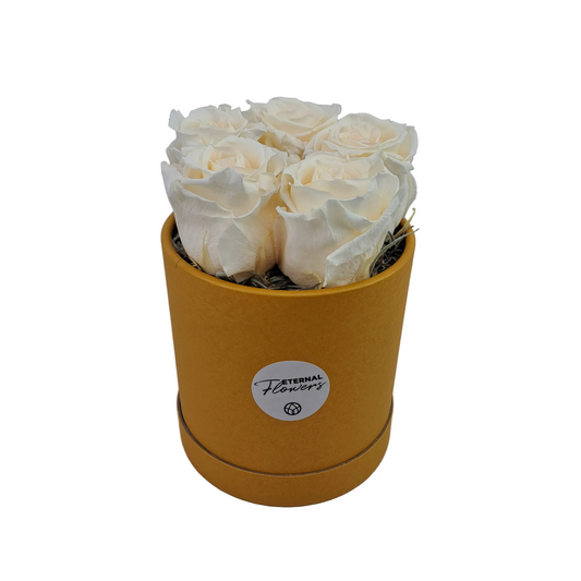 Flowerbox 5 stabilizovaných ruží - ETERNAL Flowers - Maslová