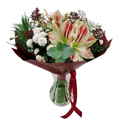 Novinka Farebný amaryllis s eukalyptom
