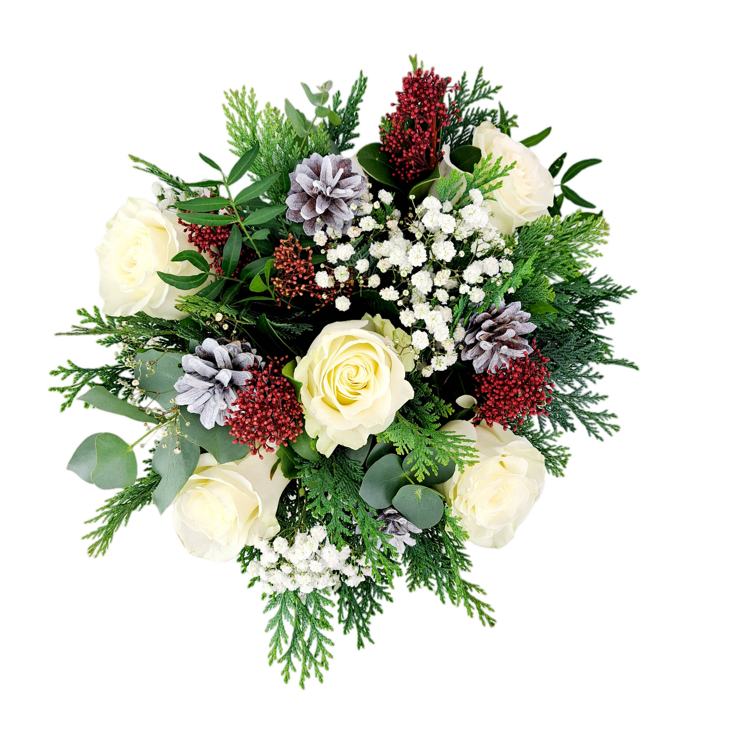 Zimné kúzlo biele ruže