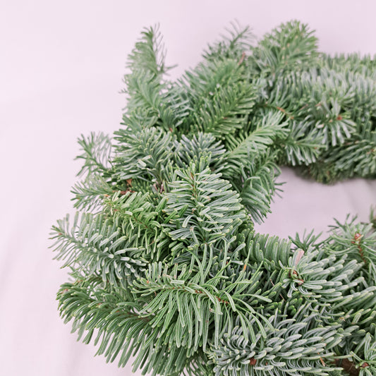 Veniec čistý 30cm - Nobillis