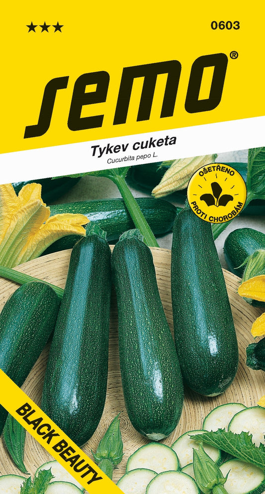 Donáška kvetov - SEMO - Tekvica cuketa - BLACK BEAUTY - slovenske-kvety.sk