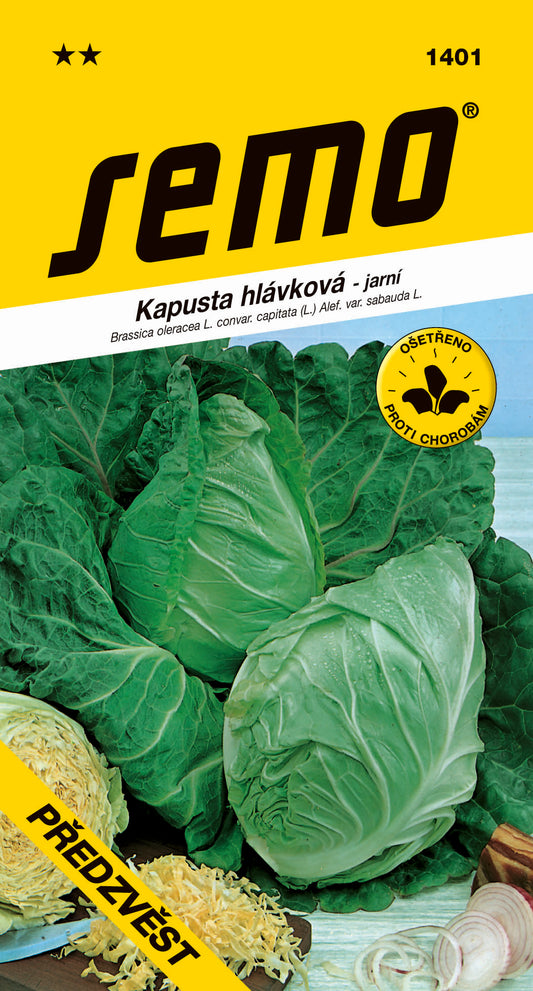 Donáška kvetov - SEMO - Kel hlávkový - PŘEDZVĚSŤ - slovenske-kvety.sk