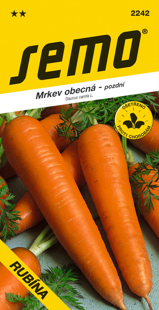 Donáška kvetov - SEMO - Mrkva obyčajná - RUBÍNA - slovenske-kvety.sk
