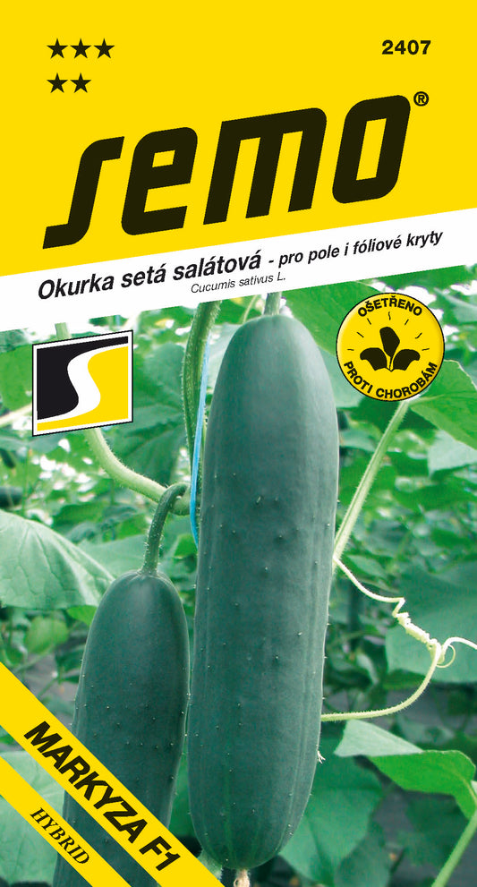 Donáška kvetov - SEMO - Uhorka šalátová - MARKYZA F1 - slovenske-kvety.sk