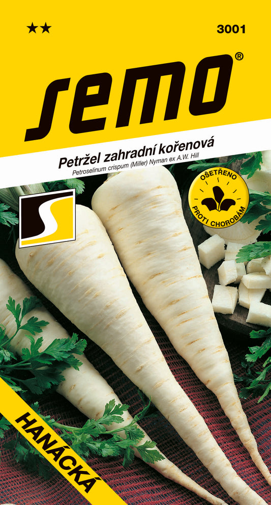 Donáška kvetov - SEMO - Petržlen koreňový - HANÁCKÁ - slovenske-kvety.sk