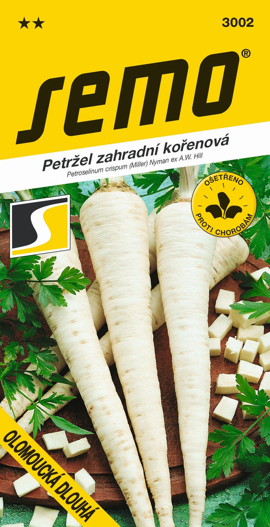 Donáška kvetov - SEMO - Petržlen koreňový - OLOMOUCKÁ DLOUHÁ - slovenske-kvety.sk