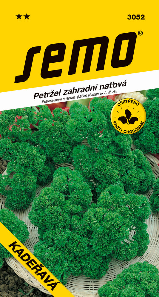 Donáška kvetov - SEMO - Petržlen vňaťový - Kučeravý - slovenske-kvety.sk