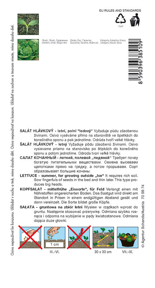 Donáška kvetov - SEMO - Šalát hlávkový - PRAŽAN - slovenske-kvety.sk