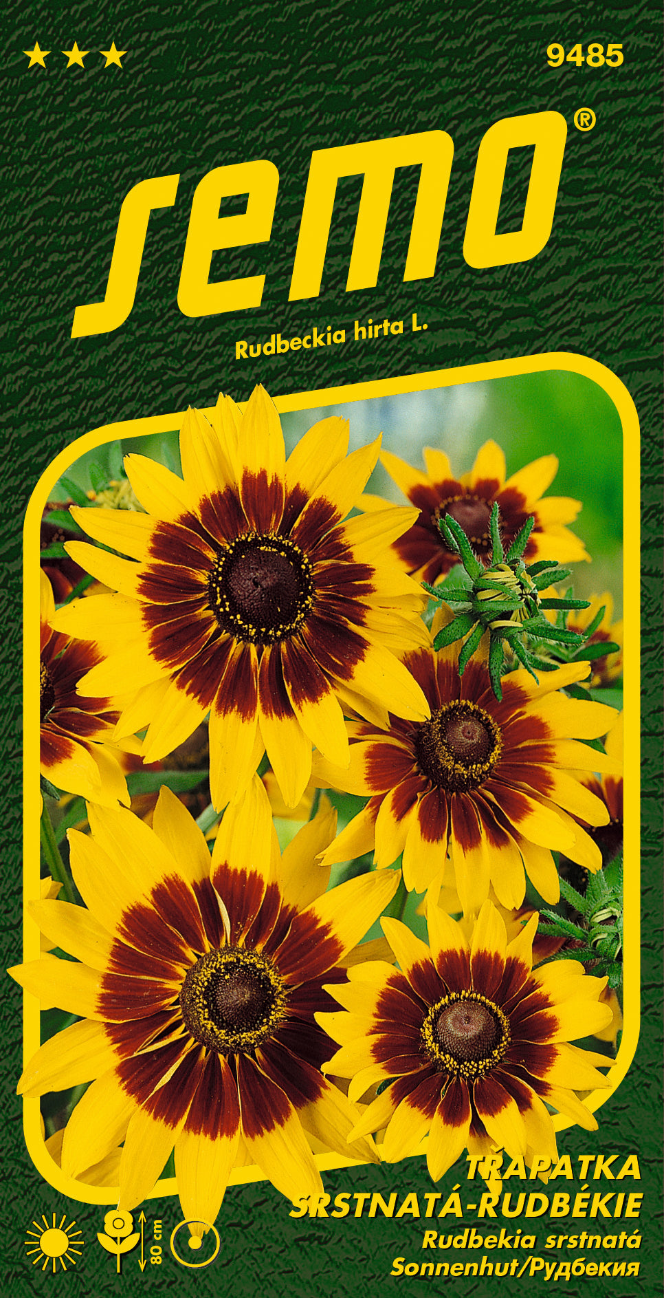SEMO - RUDBEKIA Srsnatá - Gloria Daisy