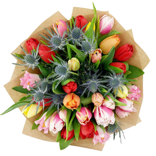 Donáška kvetov - 25 tulipánov a erynginum - slovenske-kvety.sk