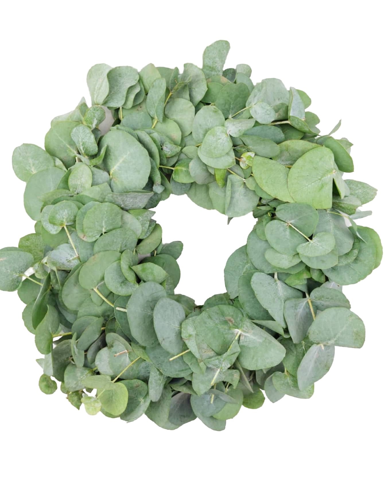 Donáška kvetov - Eukalyptový veniec 30cm - slovenske-kvety.sk