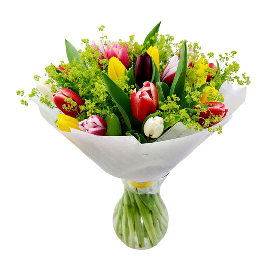 NOVINKA 25 farebných tulipánov s alchemilkou