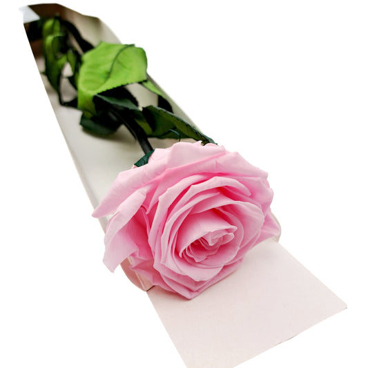 Donáška kvetov - Stabilizovaná ruža na stonke - ETERNAL Flowers - slovenske-kvety.sk