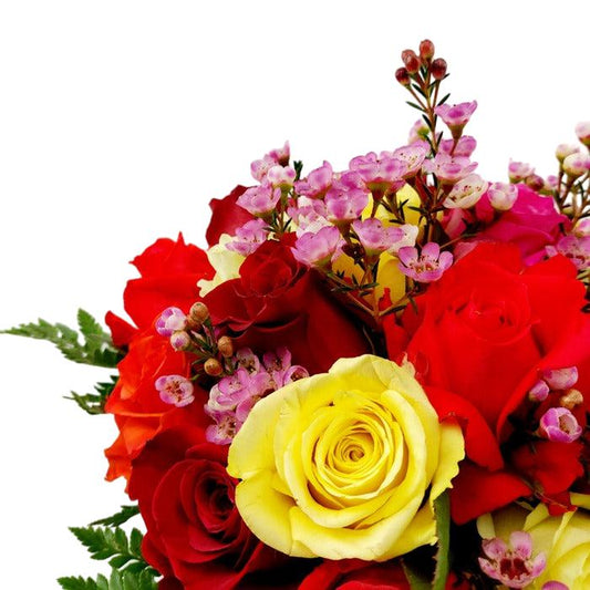 Donáška kvetov - 19 farebných ruží mix - slovenske-kvety.sk
