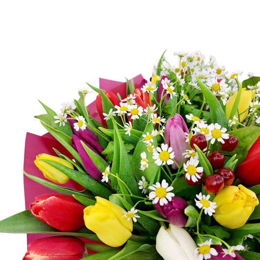 Donáška kvetov - Tulip kisses - slovenske-kvety.sk