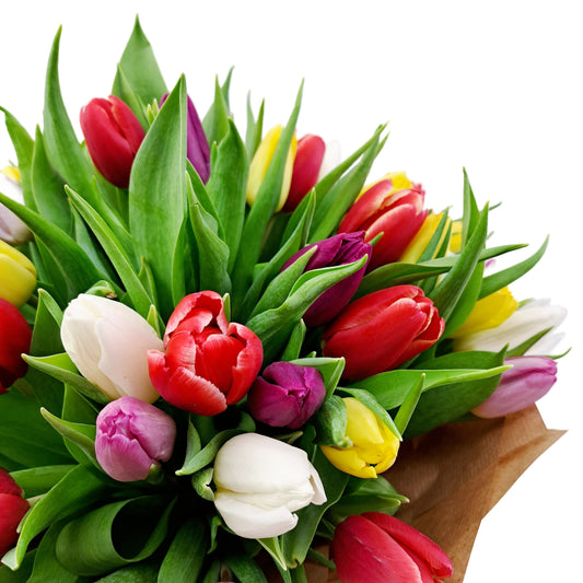 Donáška kvetov - 50 farebných tulipánov - slovenske-kvety.sk