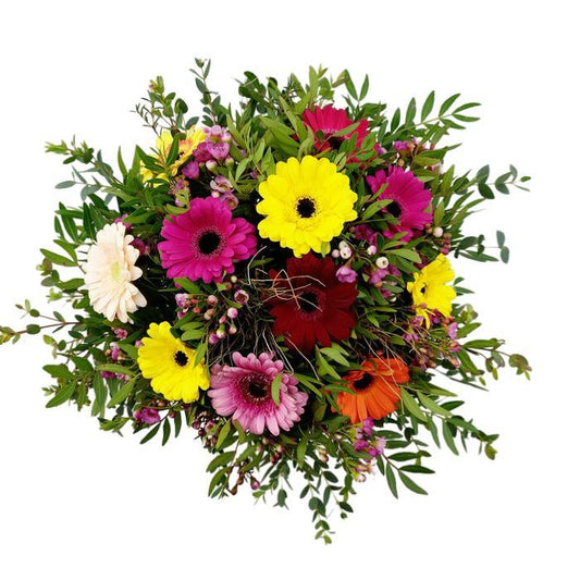Donáška kvetov - Kytica 11 farebných gerbier - slovenske-kvety.sk