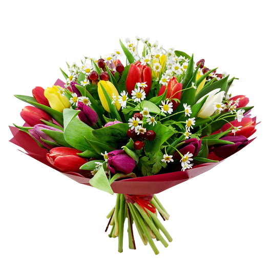 Donáška kvetov - Tulip kisses - slovenske-kvety.sk