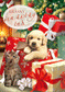 3D Pozdrav - Krásny vianočný čas - Pes a mačka