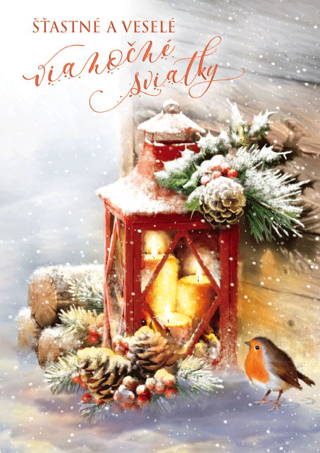 3D Pozdrav - Šťastné a veselé vianočné sviatky - Vtáčik