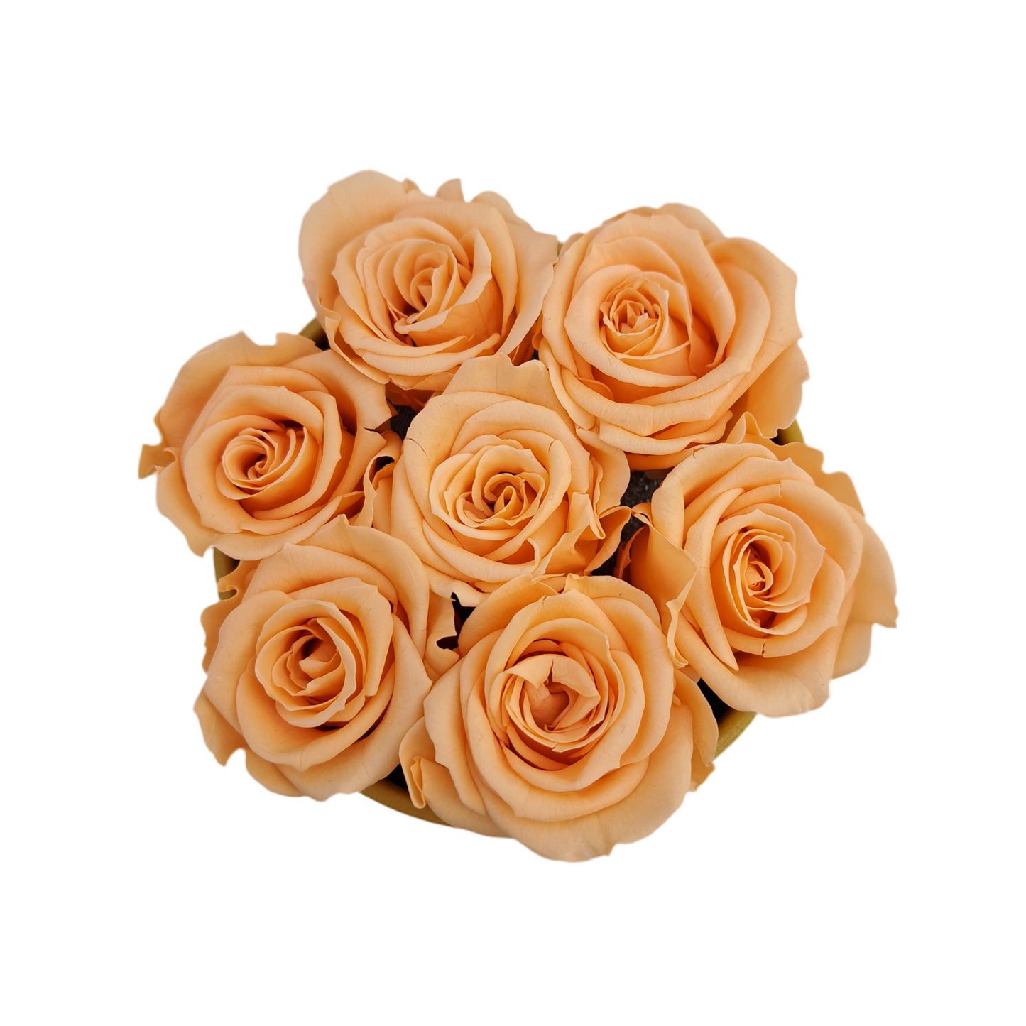 Flowerbox 7 stabilizovaných ruží „Sunset Glow“