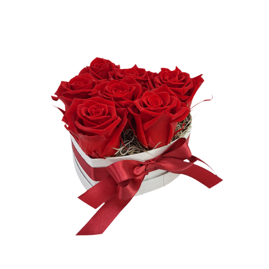Flowerbox 7 stabilizovaných ruží, červený „Royal Passion“