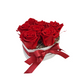 Flowerbox 7 stabilizovaných ruží, červený „Royal Passion“
