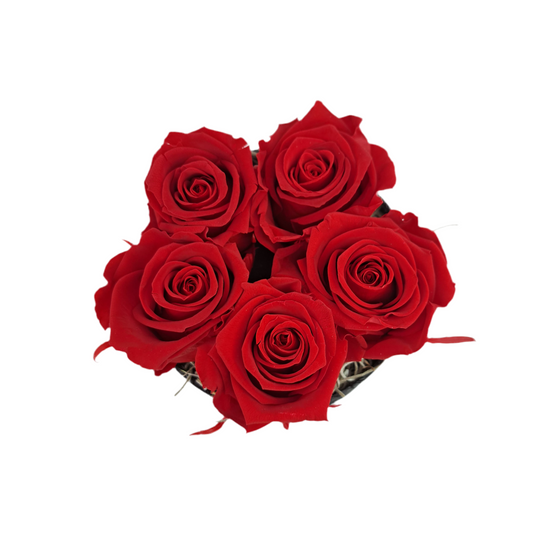 Donáška kvetov - Flowerbox 5 stabilizovaných ruží, červený „Eternal Romance“ - slovenske-kvety.sk