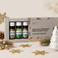 Vianočná pohoda - sada 100% prírodných éterických olejov (5 x 10ml)