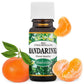 Vianočná pohoda - sada 100% prírodných éterických olejov (5 x 10ml)