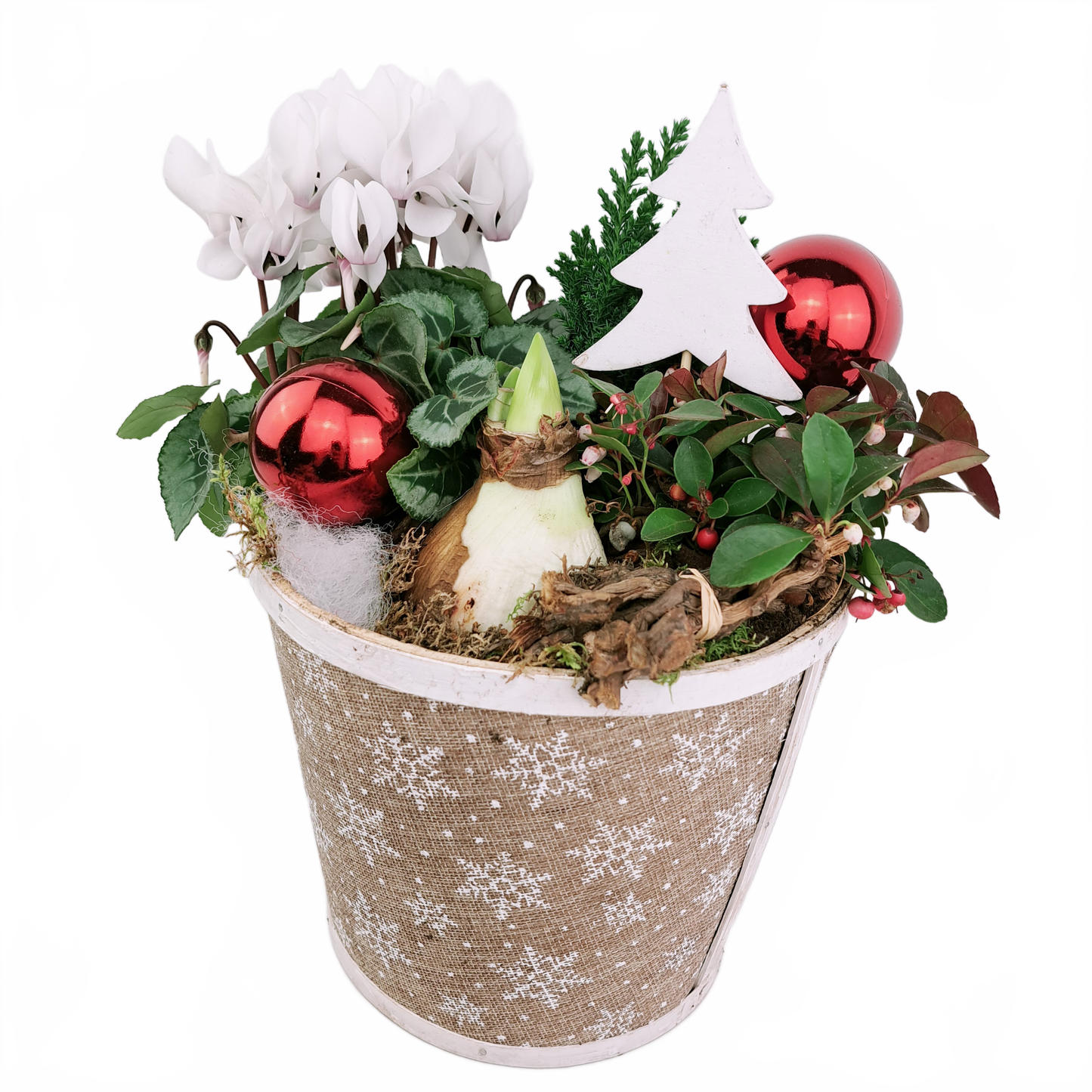 this is a product image